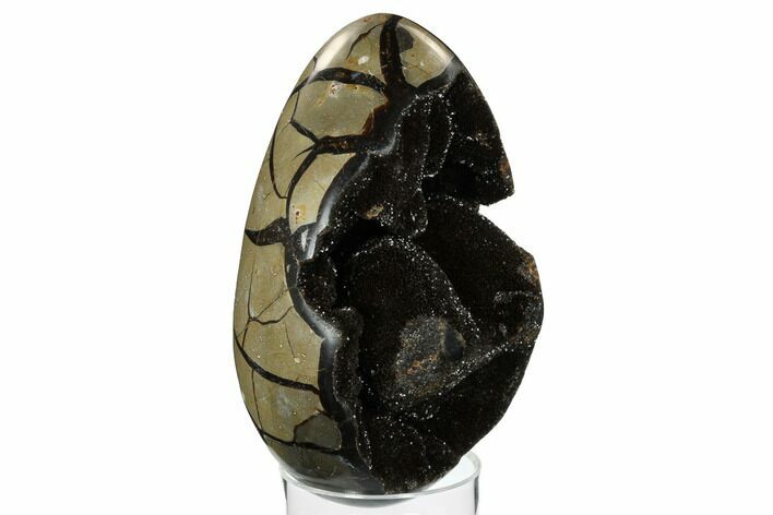 Septarian Dragon Egg Geode - Black Crystals #172814